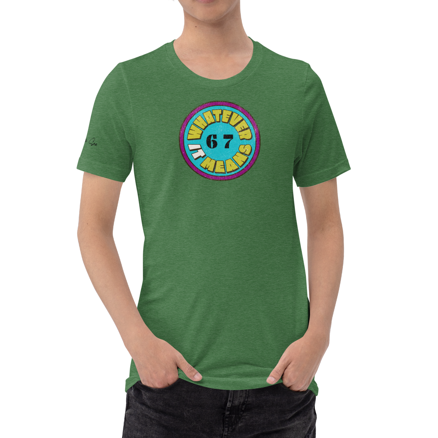 Wholesome Trendy Fun 6 7 WHATEVER IT MEANS Premium Unisex T-Shirt (S-2x) 4 Colors