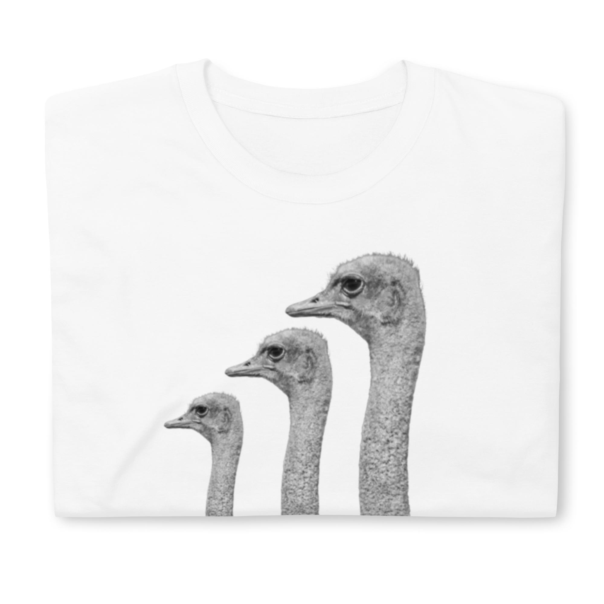 Canada Ostrich Farm Remembrance T-Shirt for Charity (4 color options) S-2X