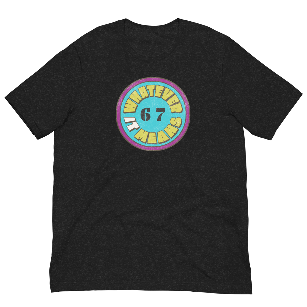 Wholesome Trendy Fun 6 7 WHATEVER IT MEANS Premium Unisex T-Shirt (S-2x) 4 Colors