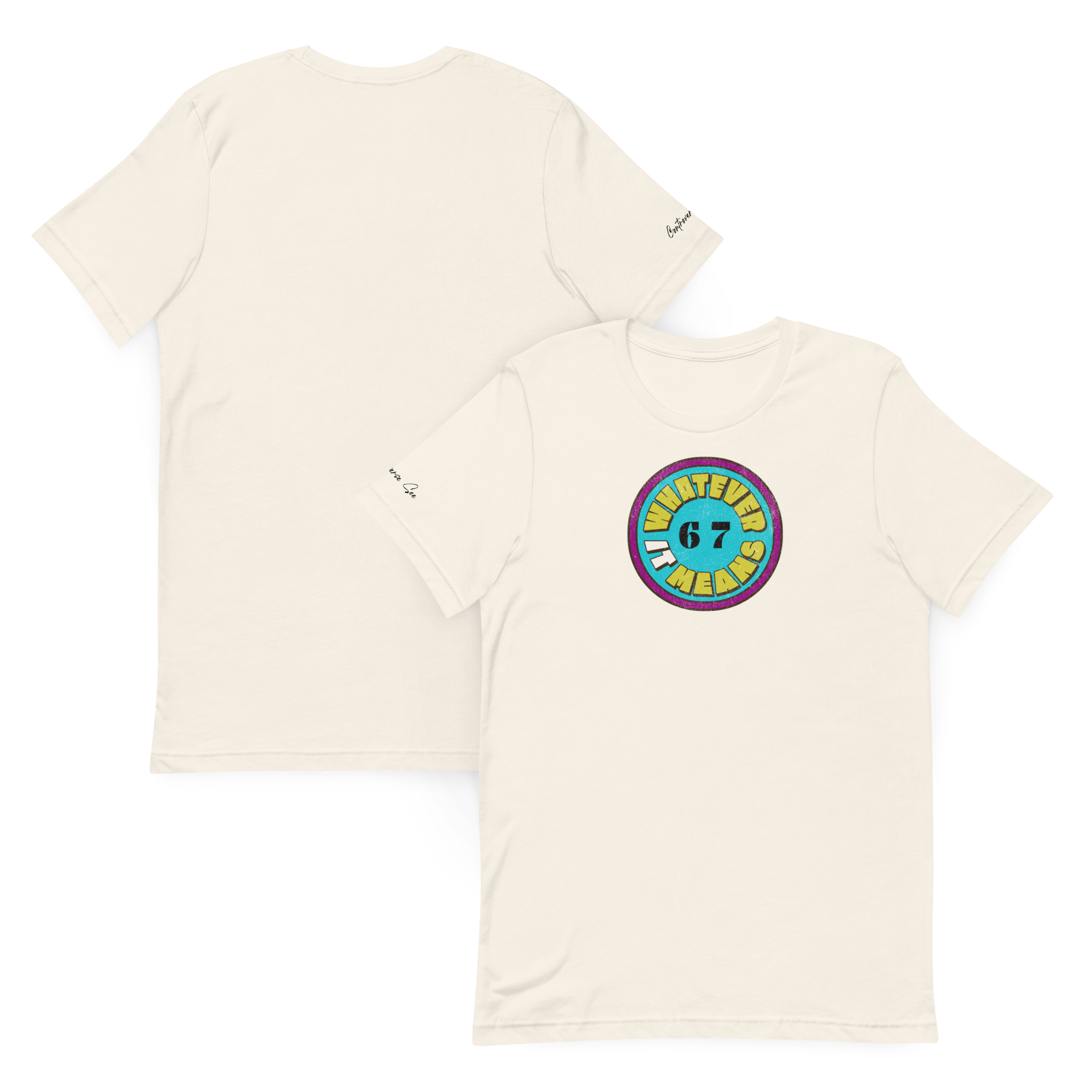 Wholesome Trendy Fun 6 7 WHATEVER IT MEANS Premium Unisex T-Shirt (S-2x) 4 Colors