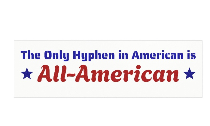 American Citizen USA Patriotic The Only Hyphen in American is All-American Vehicle (or Anywhere) Magnet